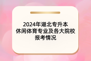 2024年湖北專升本休閑體育專業(yè)及各大院校報(bào)考情況