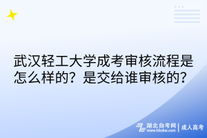 武漢輕工大學(xué)成考審核流程是怎么樣的？是交給誰審核的？
