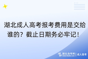 湖北成人高考報(bào)考費(fèi)用是交給誰的？截止日期務(wù)必牢記！