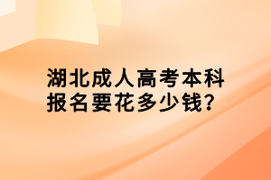 湖北成人高考本科報名要花多少錢？