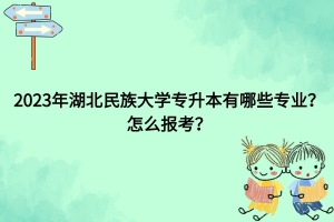 湖北民族大學(xué)專升本有哪些專業(yè)？怎么報考？