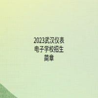 2023武漢儀表電子學(xué)校招生簡(jiǎn)章