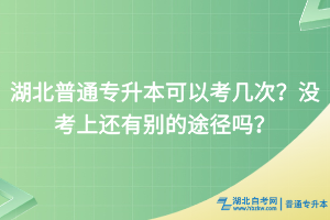 湖北普通專升本可以考幾次？沒考上還有別的途徑嗎？