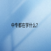 中專都在學(xué)什么？
