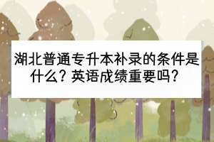 湖北普通專升本補錄的條件是什么？英語成績重要嗎？