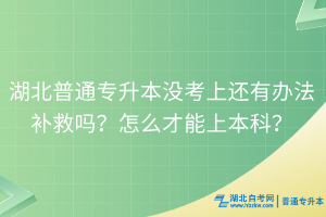 湖北普通專升本沒考上還有辦法補(bǔ)救嗎？怎么才能上本科？