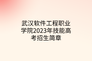 武漢軟件工程職業(yè)學院2023年技能高考招生簡章