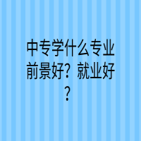 中專(zhuān)學(xué)什么專(zhuān)業(yè)前景好？就業(yè)好？