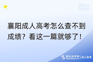 襄陽成人高考怎么查不到成績？看這一篇就夠了！