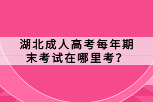 湖北成人高考每年期末考試在哪里考？