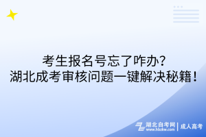 報(bào)名號(hào)忘了咋辦？湖北成考審核問(wèn)題一鍵解決秘籍！
