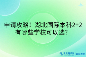 申請(qǐng)攻略！湖北國(guó)際本科2+2有哪些學(xué)?？梢赃x？
