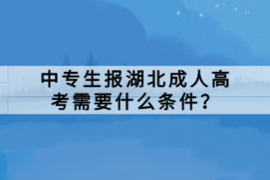 中專生報(bào)湖北成人高考需要什么條件？