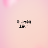 湖北中專學(xué)籍重要嗎？