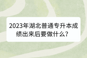 2023年湖北普通專(zhuān)升本成績(jī)出來(lái)后要做什么？
