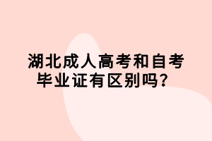 湖北成人高考和自考畢業(yè)證有區(qū)別嗎？