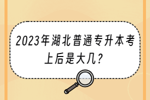 2023年湖北普通專升本考上后是大幾？
