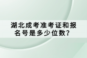 湖北成考準(zhǔn)考證和報(bào)名號(hào)是多少位數(shù)？