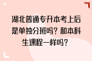 湖北普通專升本考上后是單獨分班嗎？和本科生課程一樣嗎？