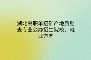 湖北高職單招礦產(chǎn)地質(zhì)勘查專業(yè)公辦招生院校、就業(yè)方向