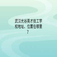 武漢市智工職業(yè)技術(shù)學(xué)校地址、位置在哪里？