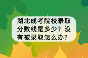 湖北成考院校錄取分?jǐn)?shù)線是多少？沒有被錄取怎么辦？