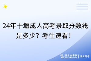 24年十堰成人高考錄取分?jǐn)?shù)線是多少？考生速看！