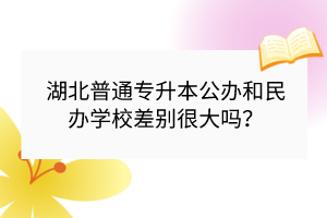 湖北普通專升本公辦和民辦學校差別很大嗎？
