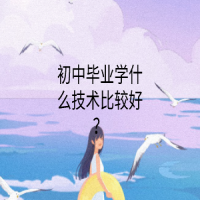 初中畢業(yè)學(xué)什么技術(shù)比較好？