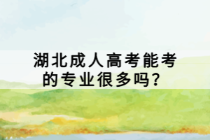 湖北成人高考能考的專業(yè)很多嗎？