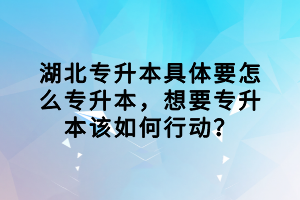 湖北專升本具體要怎么專升本，想要專升本該如何行動？