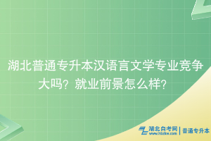 湖北普通專升本漢語言文學專業(yè)競爭大嗎？就業(yè)前景怎么樣？