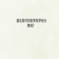 湖北現(xiàn)代科技學(xué)校學(xué)校分?jǐn)?shù)線？