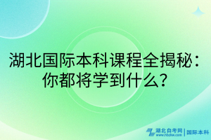 湖北國際本科課程全揭秘：你都將學到什么？
