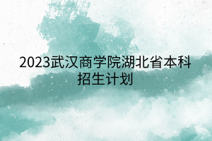 2023武漢商學(xué)院湖北省本科招生計劃