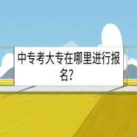 中?？即髮Ｔ谀睦镞M(jìn)行報(bào)名？