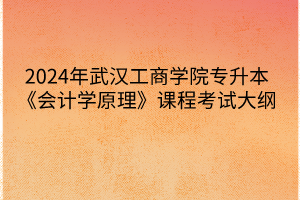 2024年武漢工商學(xué)院專升本《會計學(xué)原理》課程考試大綱