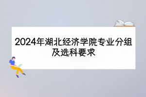 2024年湖北經濟學院專業(yè)分組及選科要求