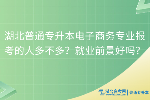 湖北普通專升本電子商務(wù)專業(yè)報(bào)考的人多不多？就業(yè)前景好嗎？