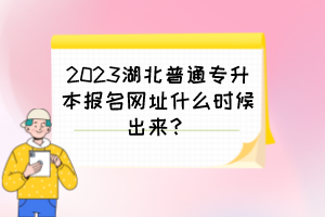 2023湖北普通專升本報(bào)名網(wǎng)址什么時(shí)候出來(lái)？