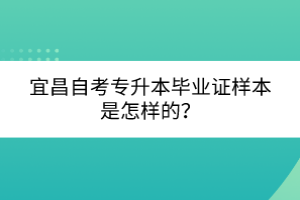 宜昌自考專升本畢業(yè)證樣本是怎樣的？