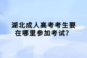 湖北成人高考考生要在哪里參加考試？