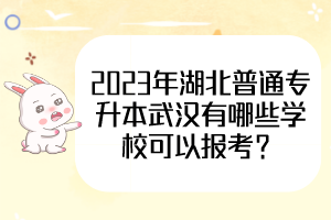 2023年湖北普通專升本武漢有哪些學(xué)校可以報(bào)考？