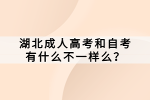 湖北成人高考和自考有什么不一樣么？