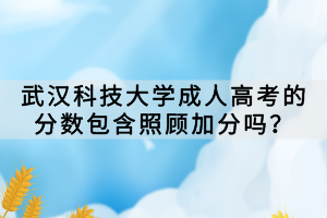 武漢科技大學(xué)成人高考的分數(shù)包含照顧加分嗎？