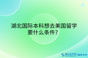 湖北國(guó)際本科想去美國(guó)留學(xué)要什么條件？