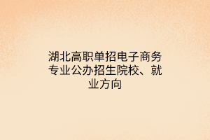 湖北高職單招電子商務(wù)專業(yè)公辦招生院校、就業(yè)方向
