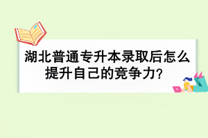 湖北普通專升本錄取后還需要從哪些方面提升自己的競爭力？