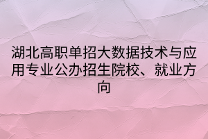 湖北高職單招大數(shù)據(jù)技術與應用專業(yè)公辦招生院校、就業(yè)方向
