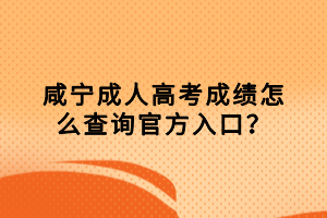 咸寧成人高考成績(jī)?cè)趺床樵?xún)官方入口？